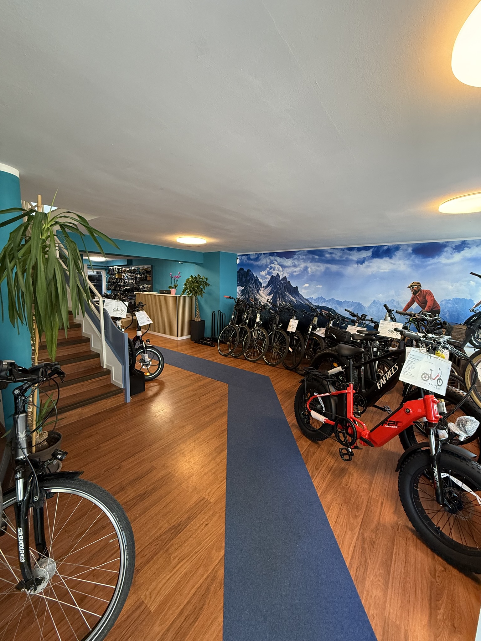 Radschlag Bikes Alltag