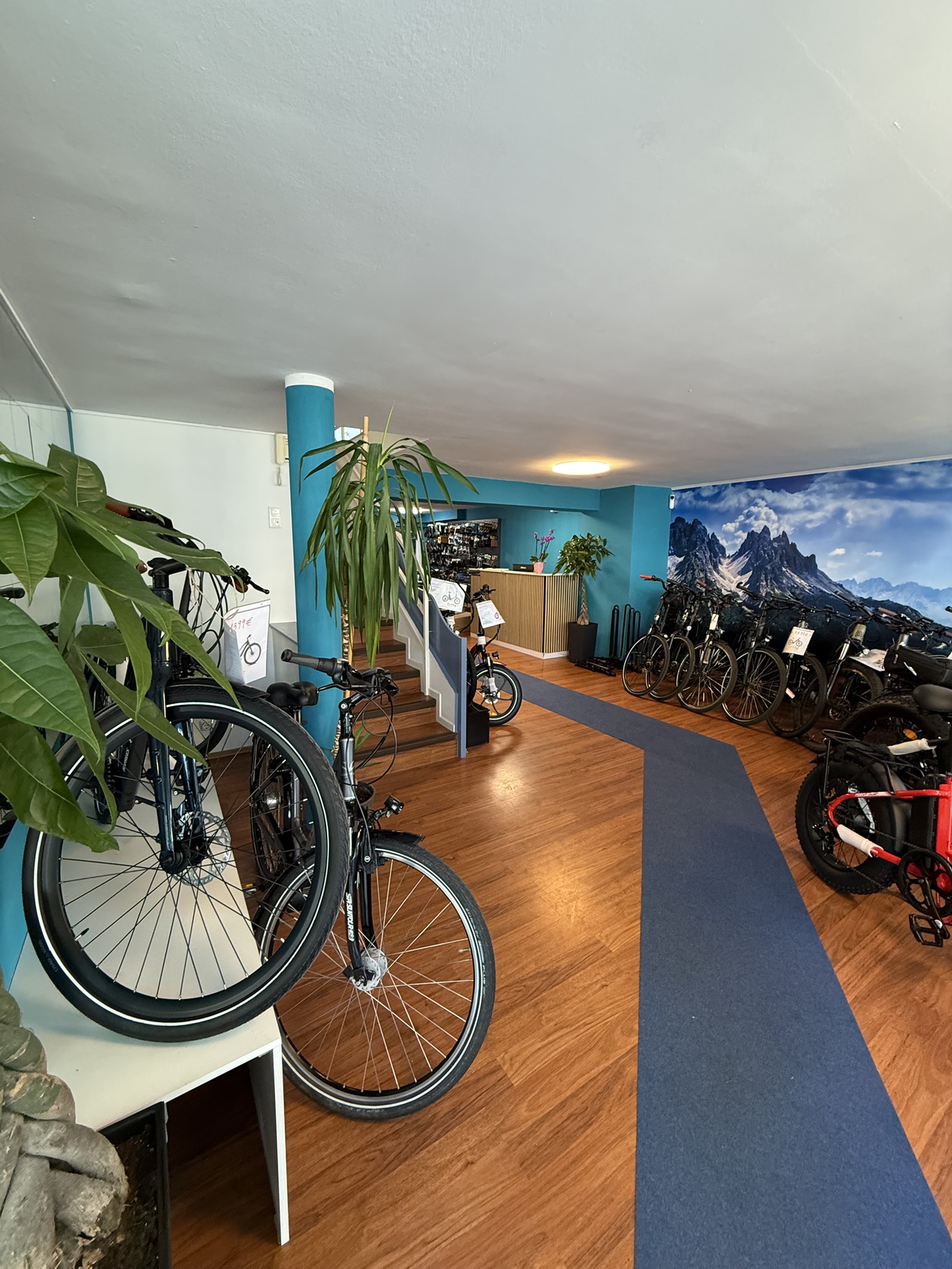 Radschlag Bikes Alltag